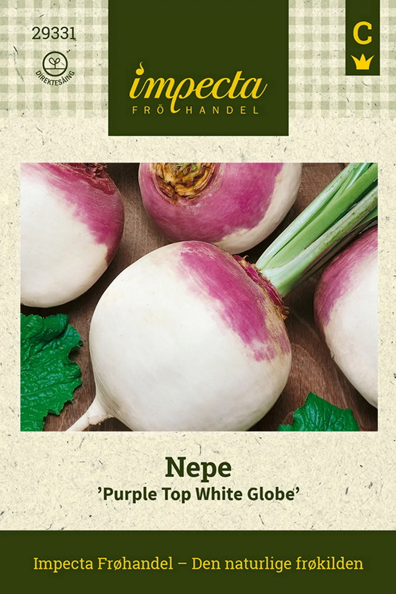Nepe 'Purple Top White Globe'