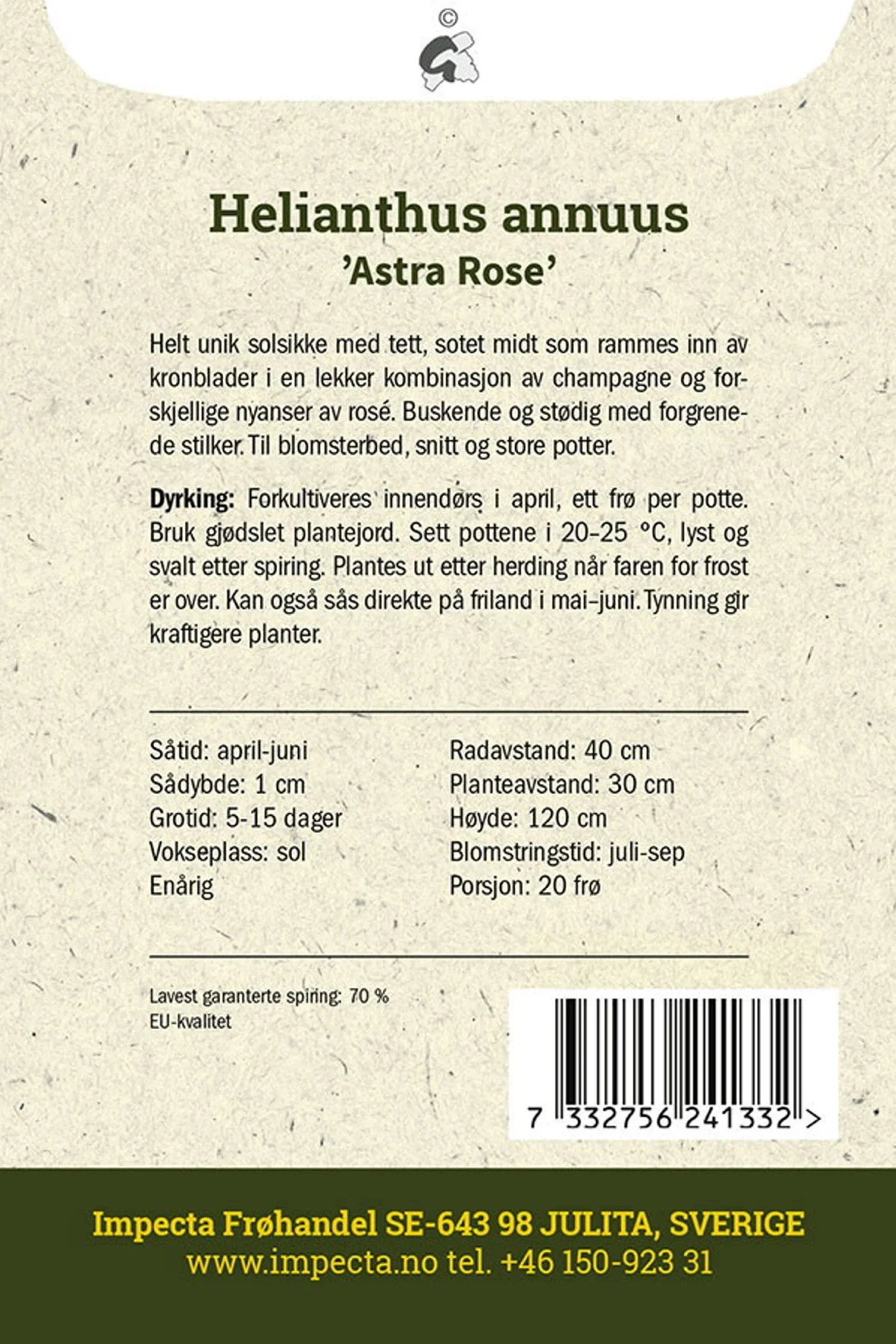 Rød solsikke 'Astra Rose'