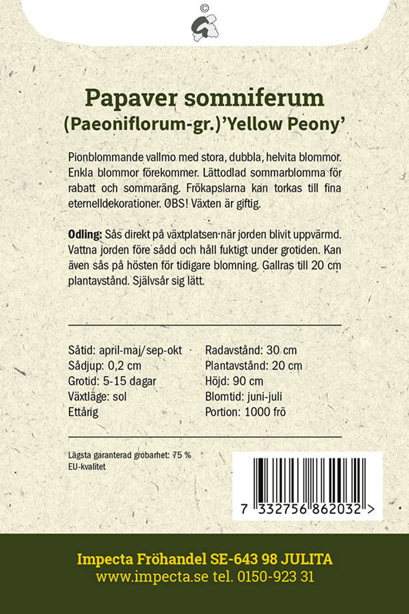 Pionvallmo 'Yellow Peony'