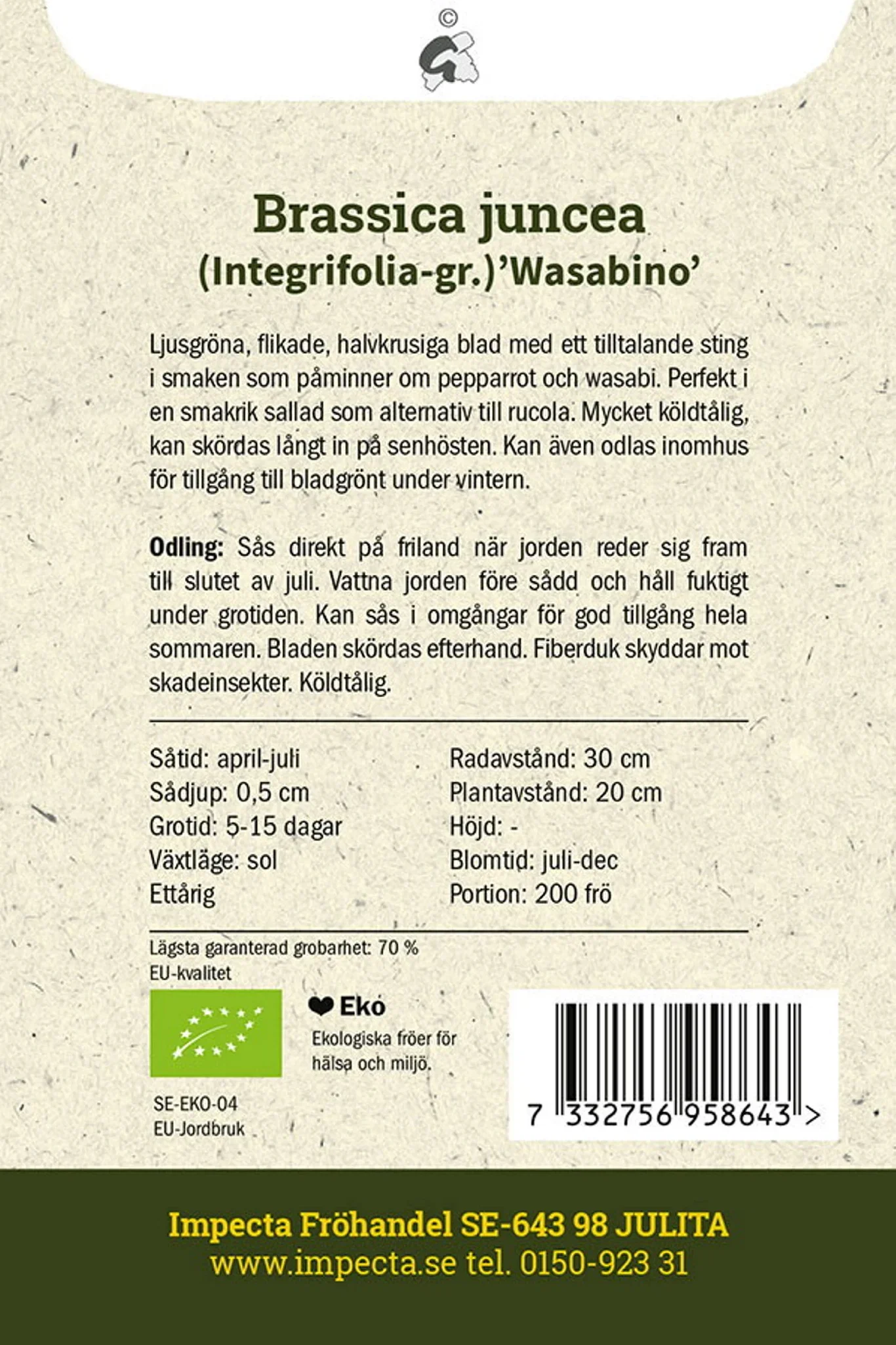 Salladssenap 'Wasabino'