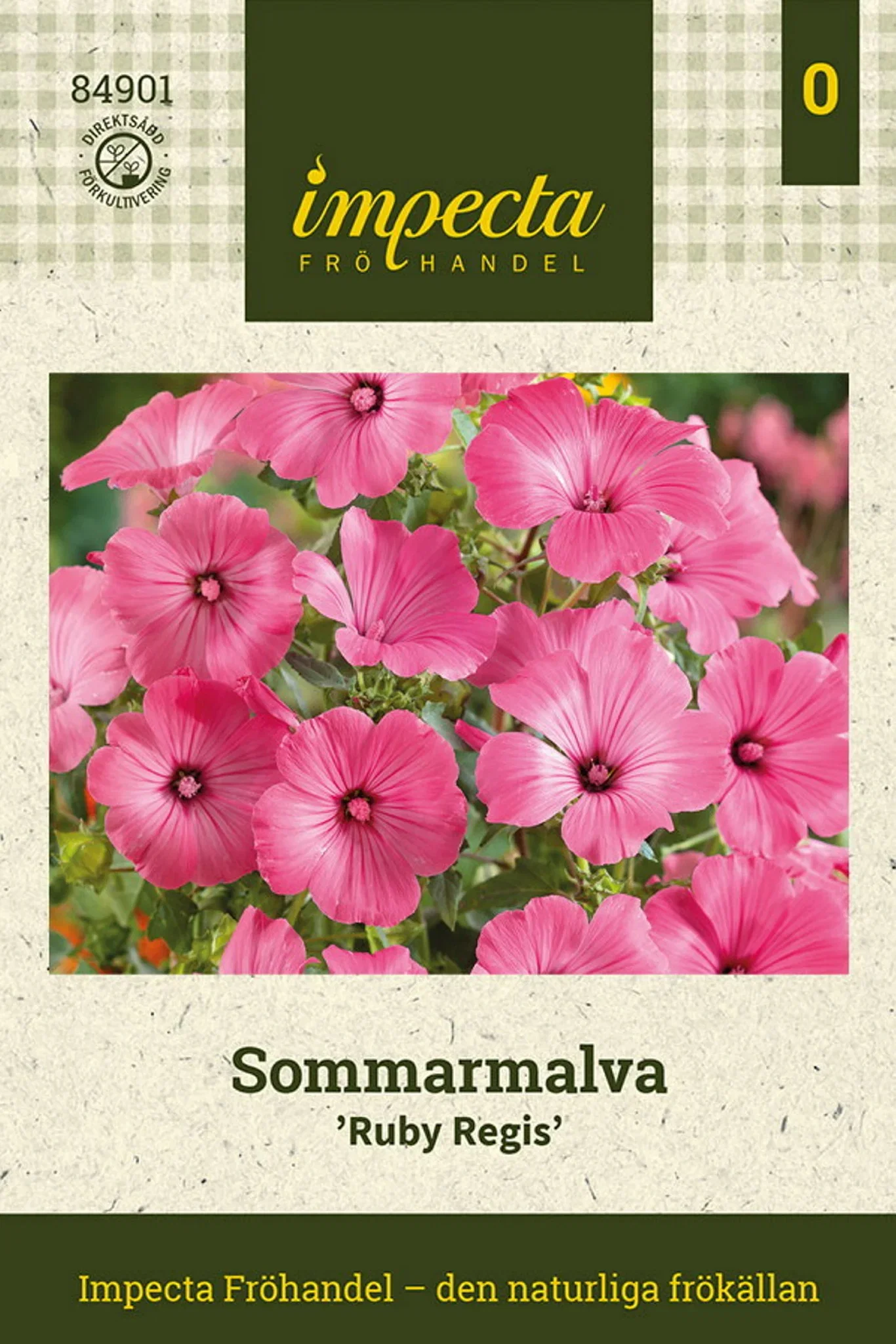 Sommarmalva 'Ruby Regis'