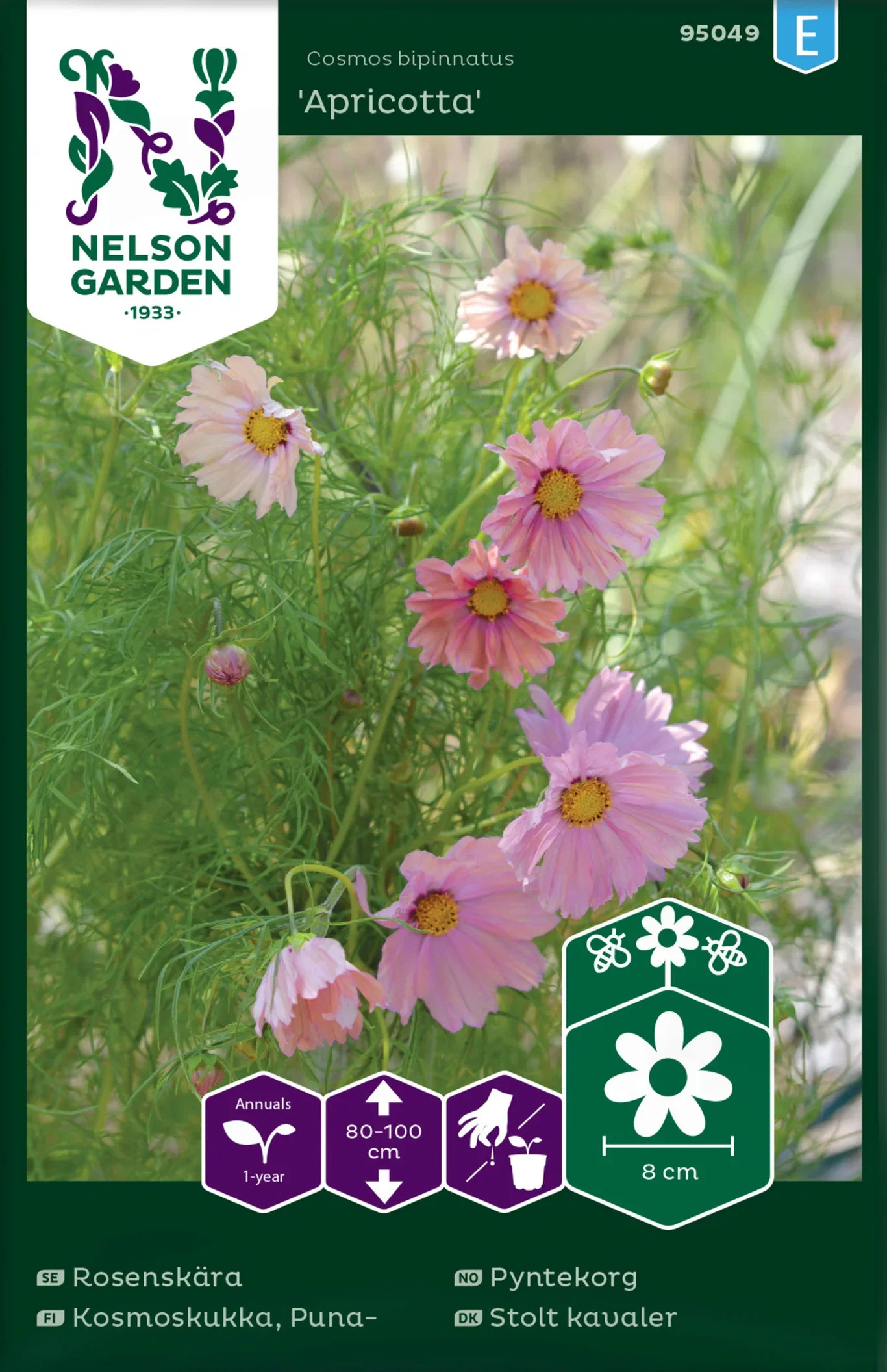 Rosenskära 'Apricotta'