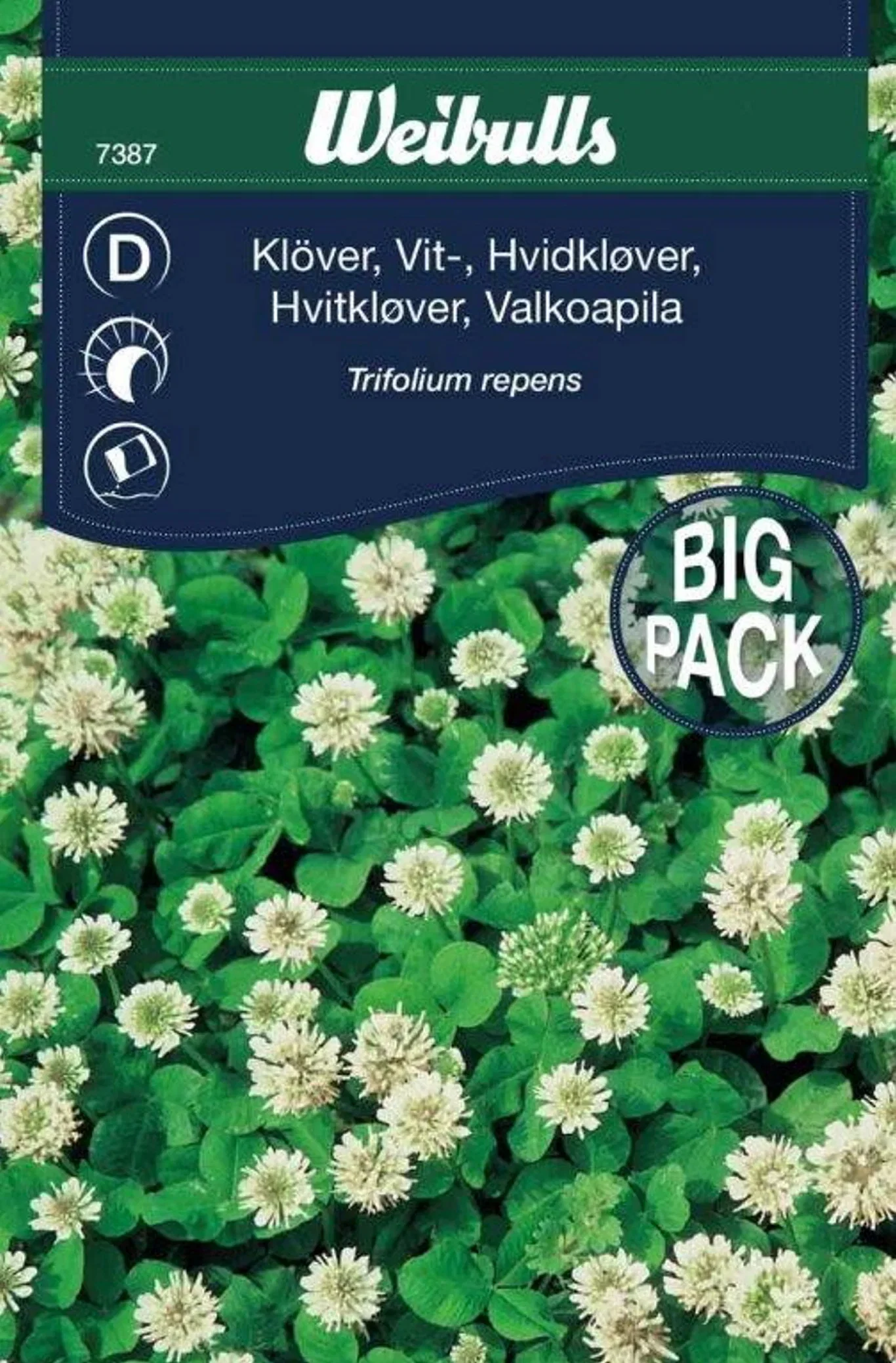 Klöver, vitklöver storport