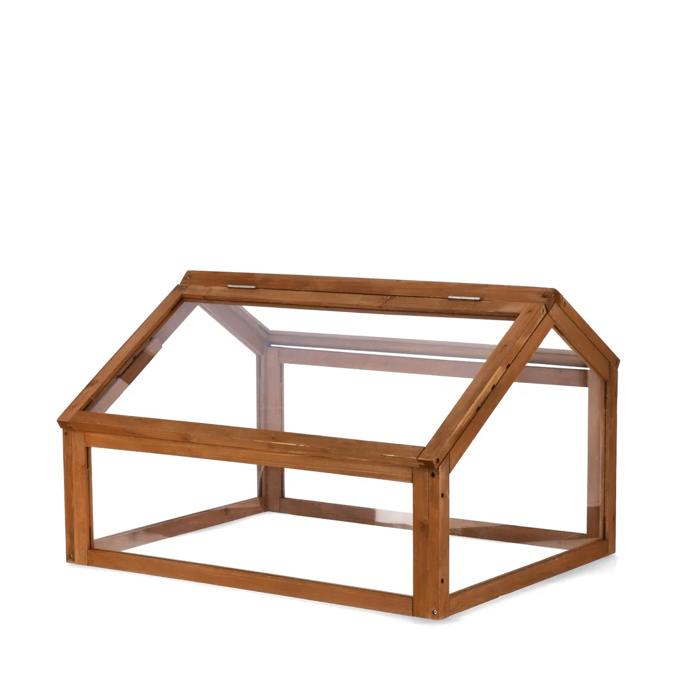 Ester Greenhouse 80*60 2024