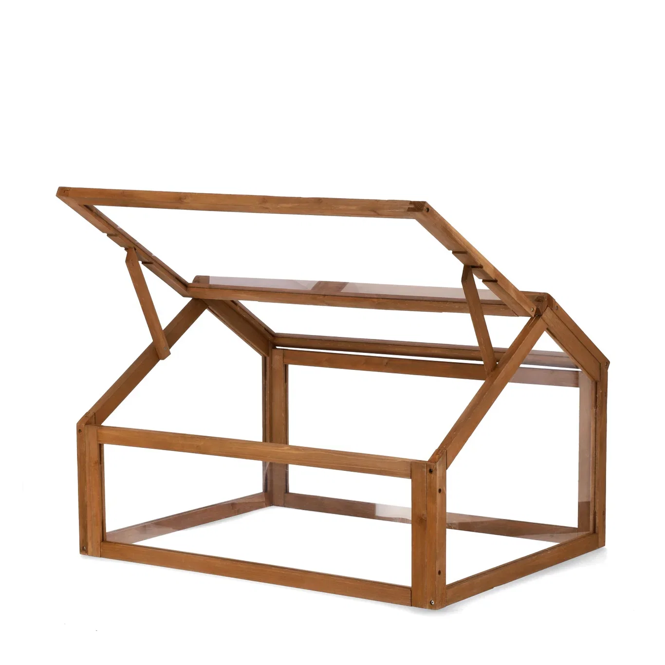 Ester Greenhouse 80*60 2024