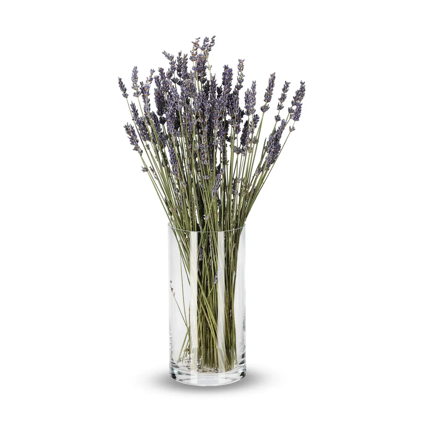 Lavendel Super Blue