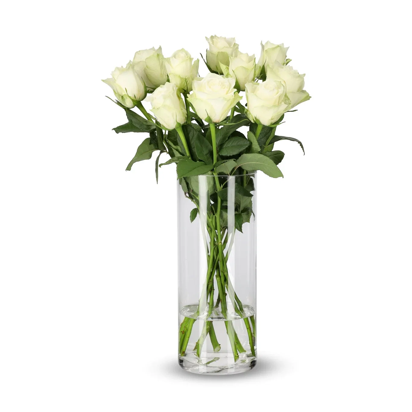 Rosor 10-pack