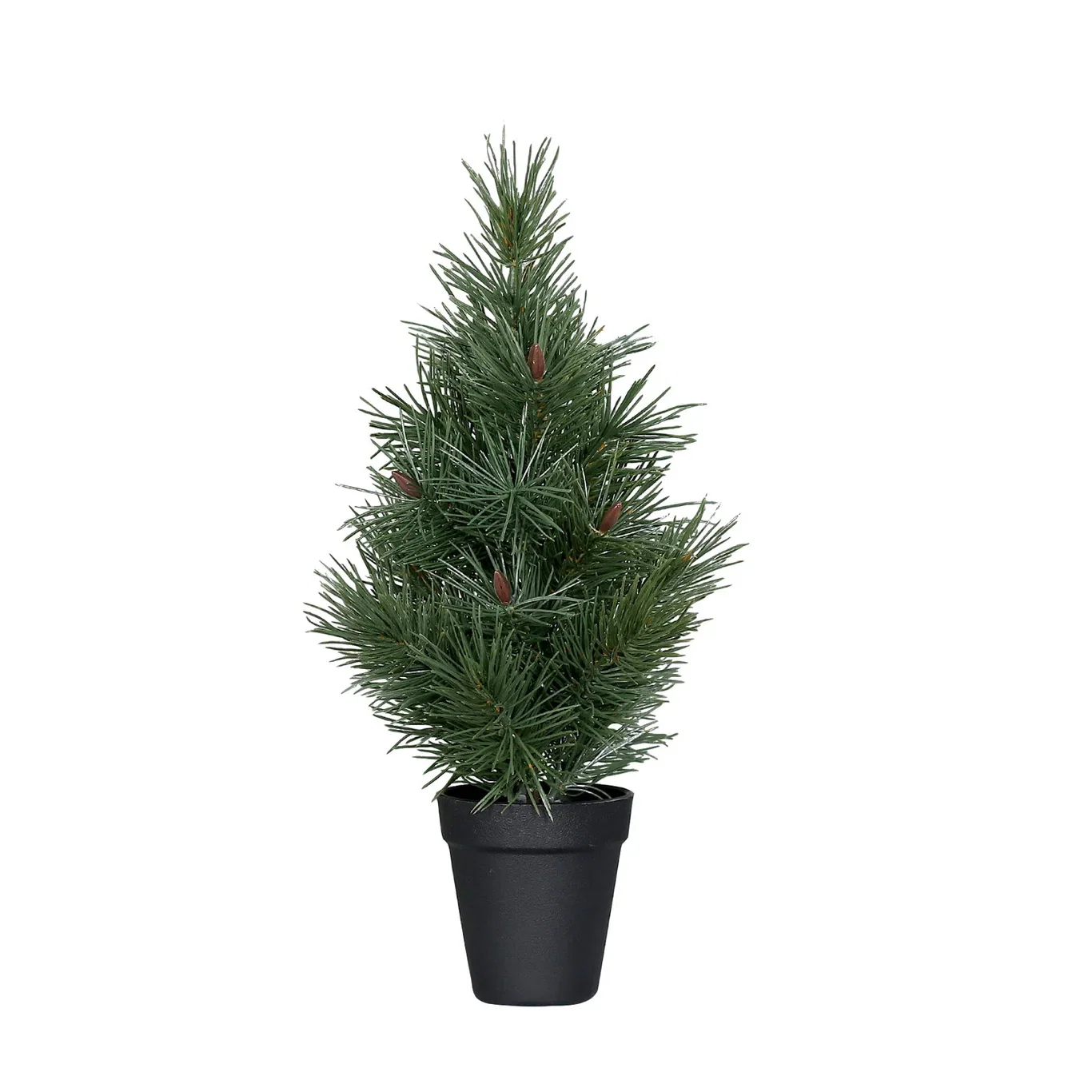 Pine tree in pot H40 green
