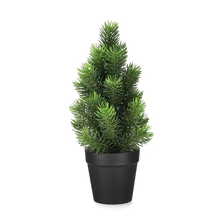 Pine tree in pot H32 green
