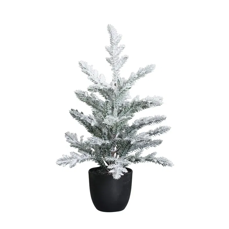 Fir tree with snow in pot