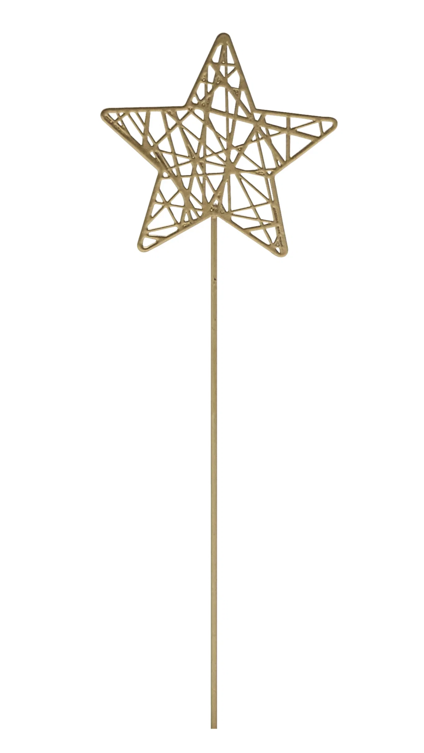 Dekorationspinne Sirius