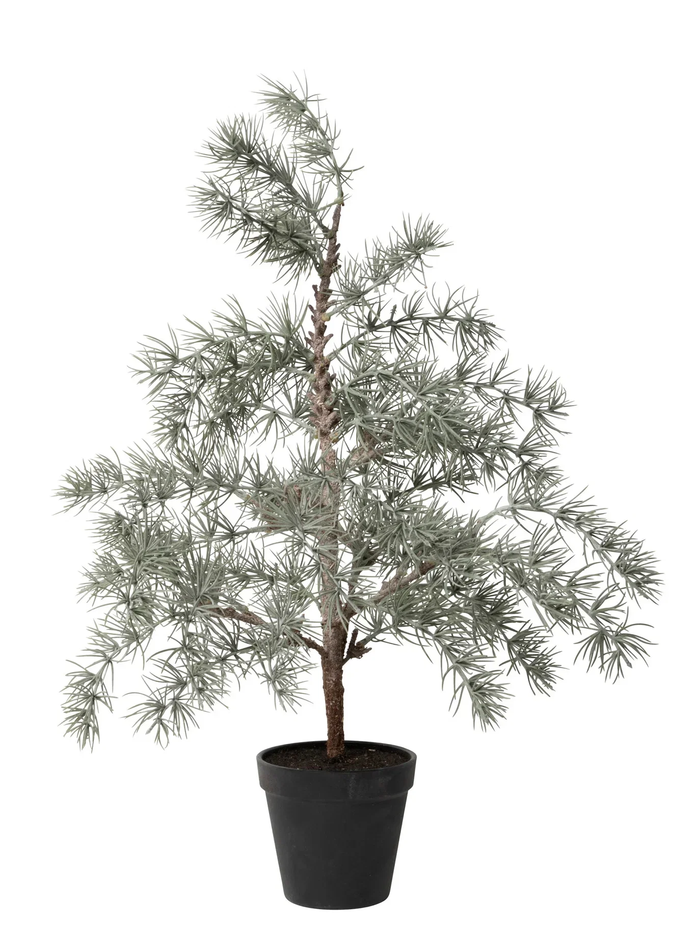 Vimsy pine tree H60 green