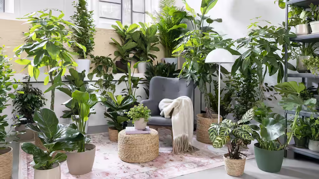 Plantagen Hässelby reopens