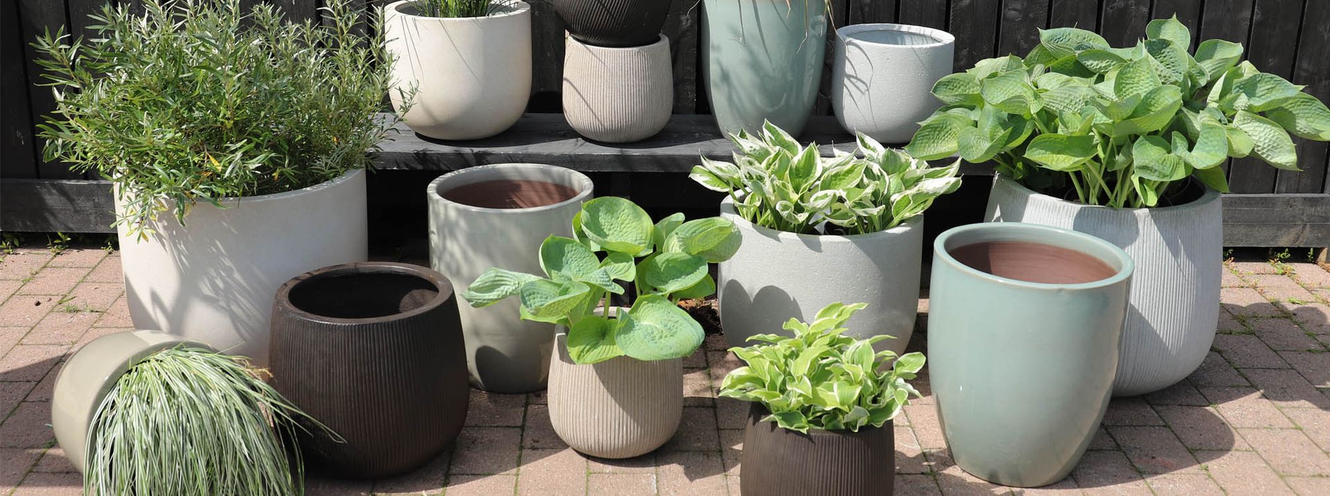 Detta är en bildillustration av  30 % på alla inne- och utekrukor