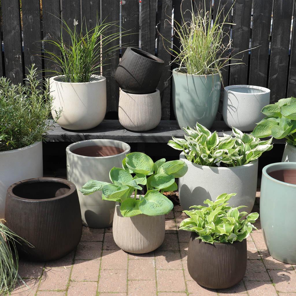 30 % på alla inne- och utekrukor