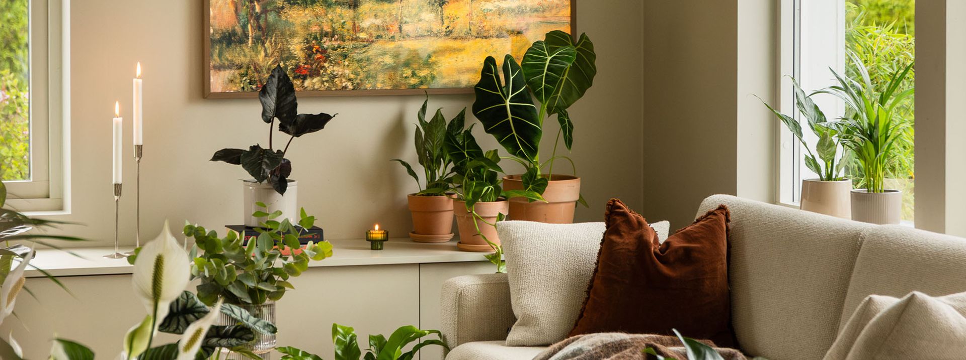 Detta är en bildillustration av  Skapa din egen gröna oas hemma