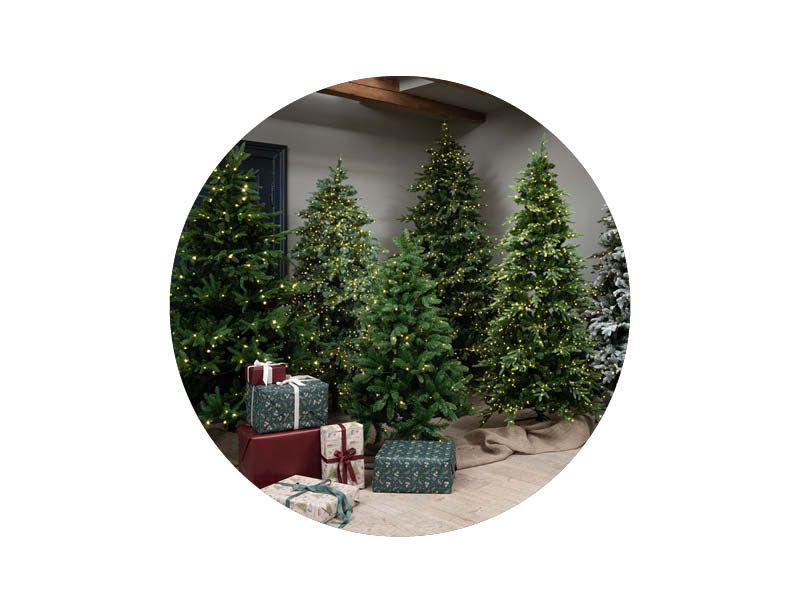 Image of Konstgranar