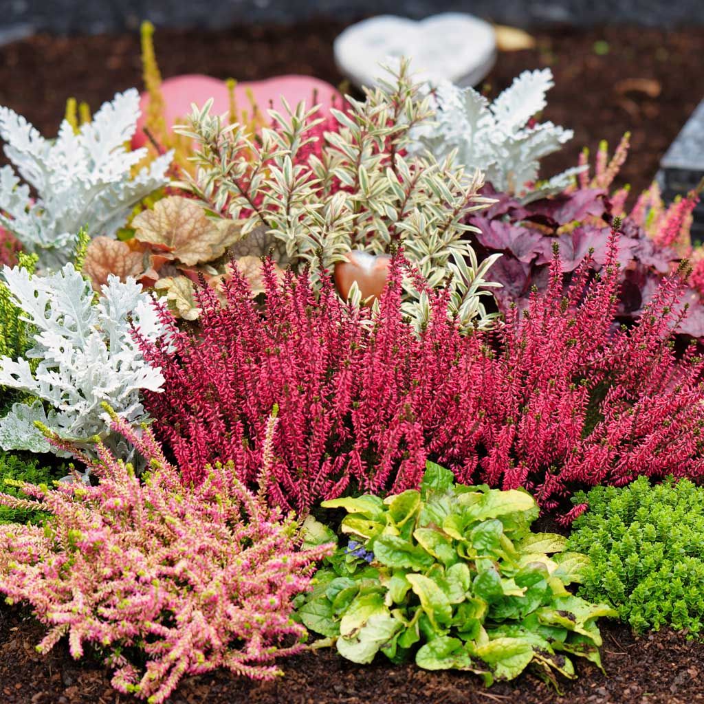 Image of Höstblommor