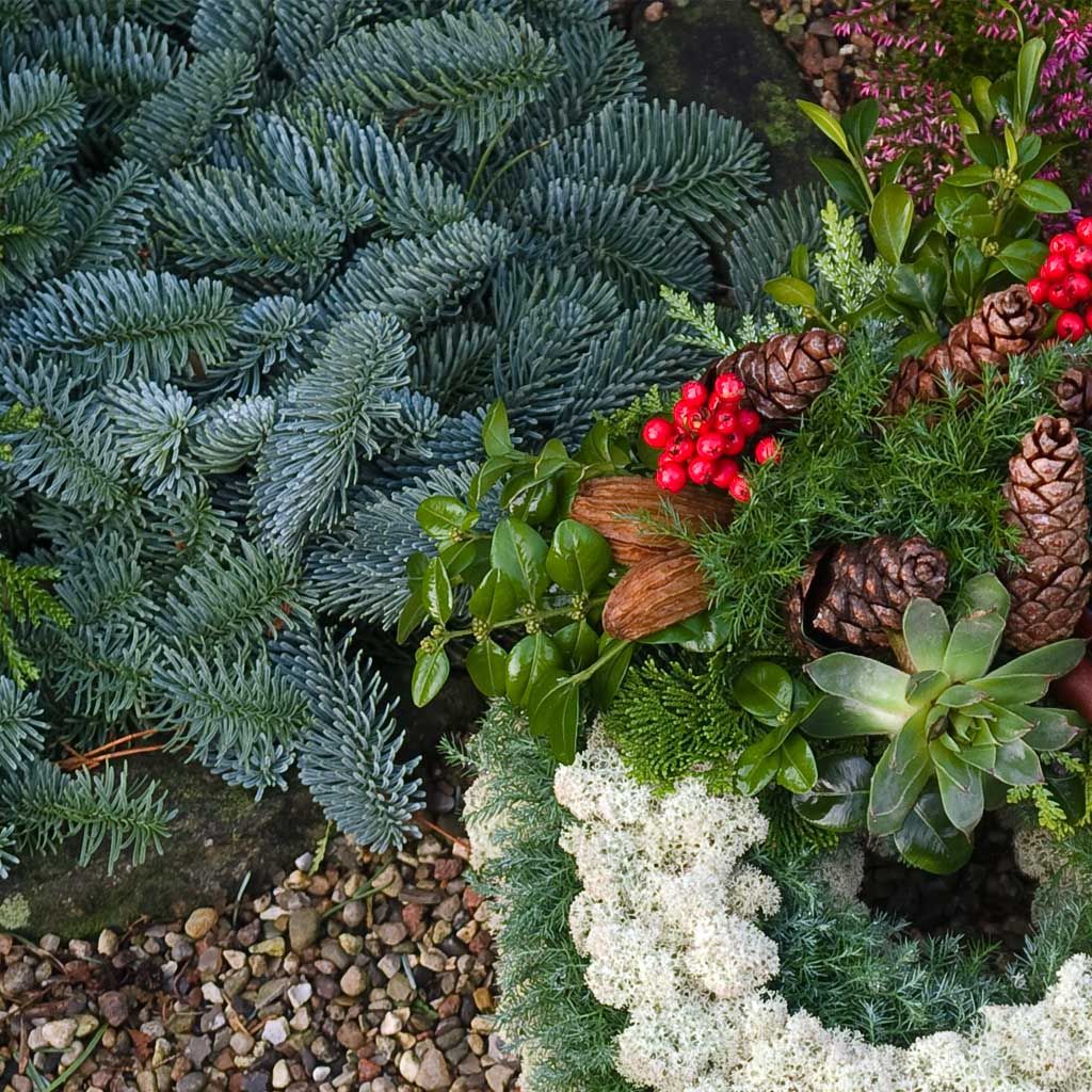 Image of Tips för höstpynt på graven