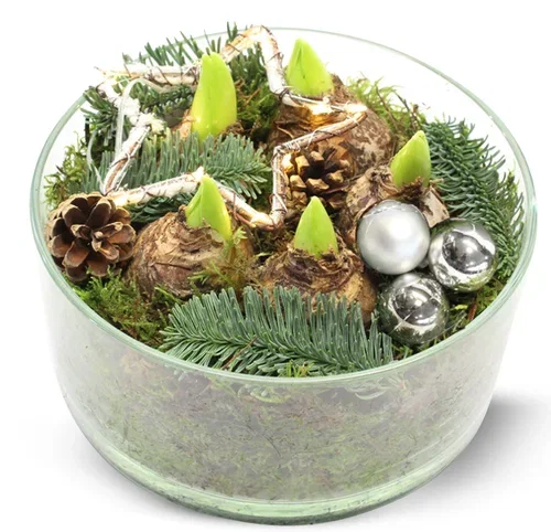 Hyacint Deco. LED star 21cm