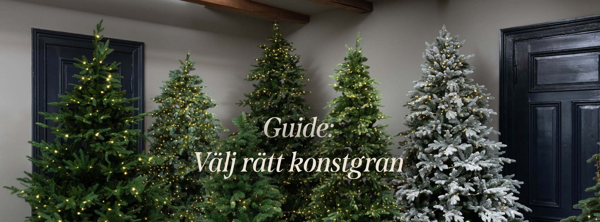 This is an image illustration of  Lavender – planting and care