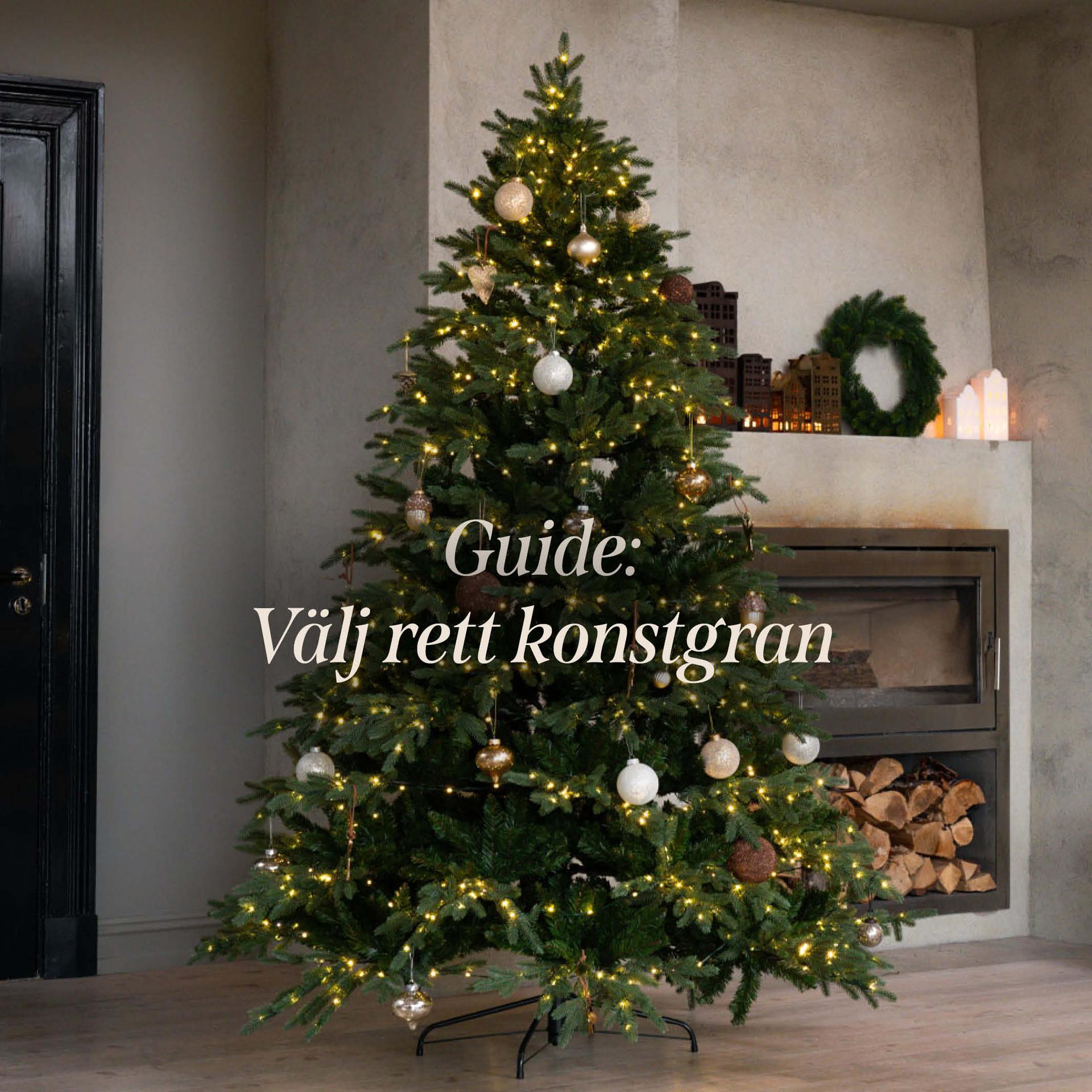 Lavender – planting and care