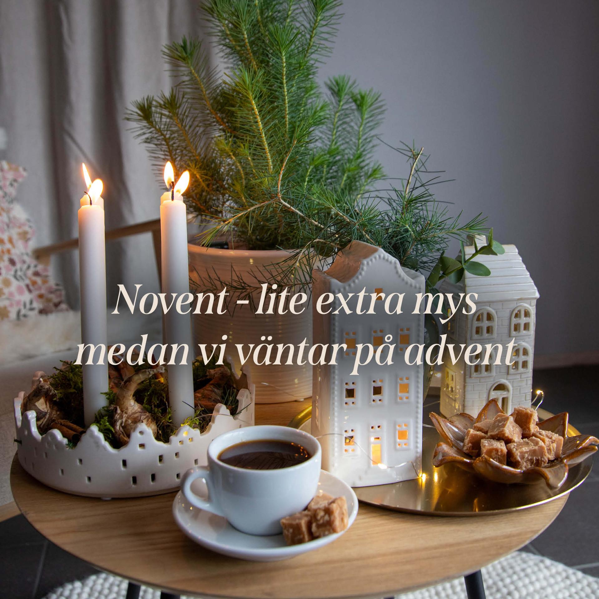 3 for 2 on large perennials