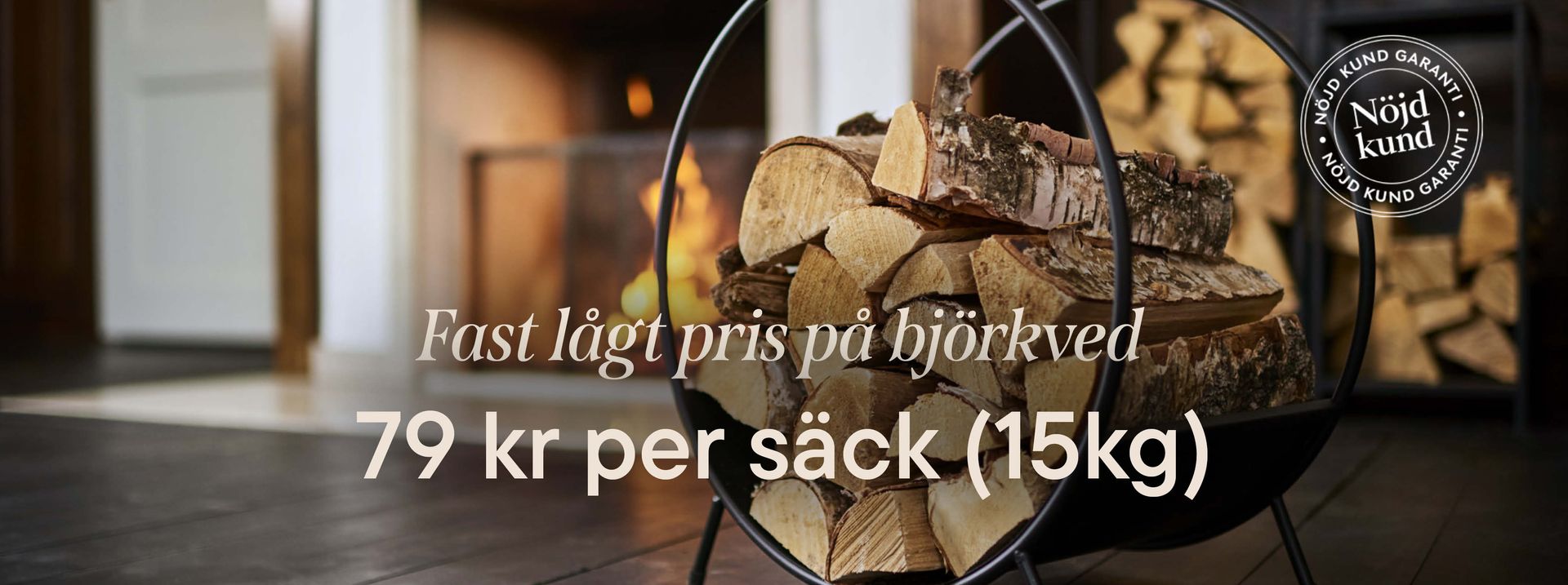 This is an image illustration of  Aster – the summer favorite