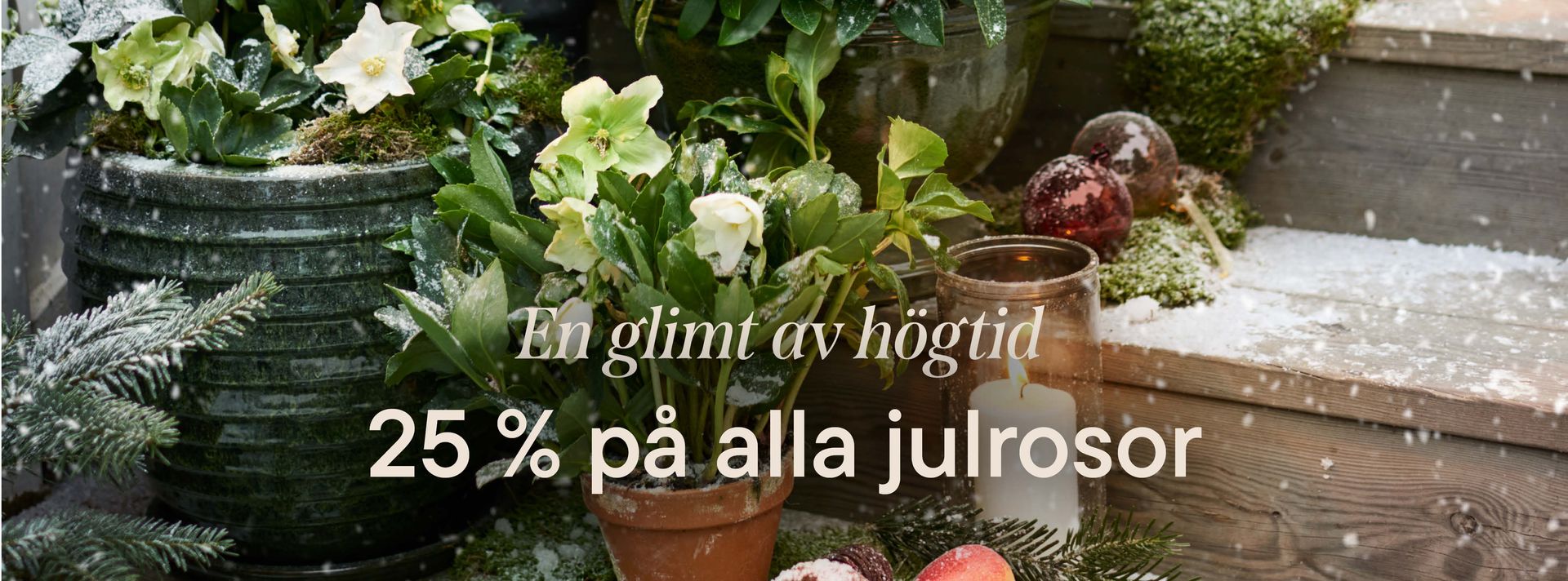 This is an image illustration of  Terracotta in all sizes and styles