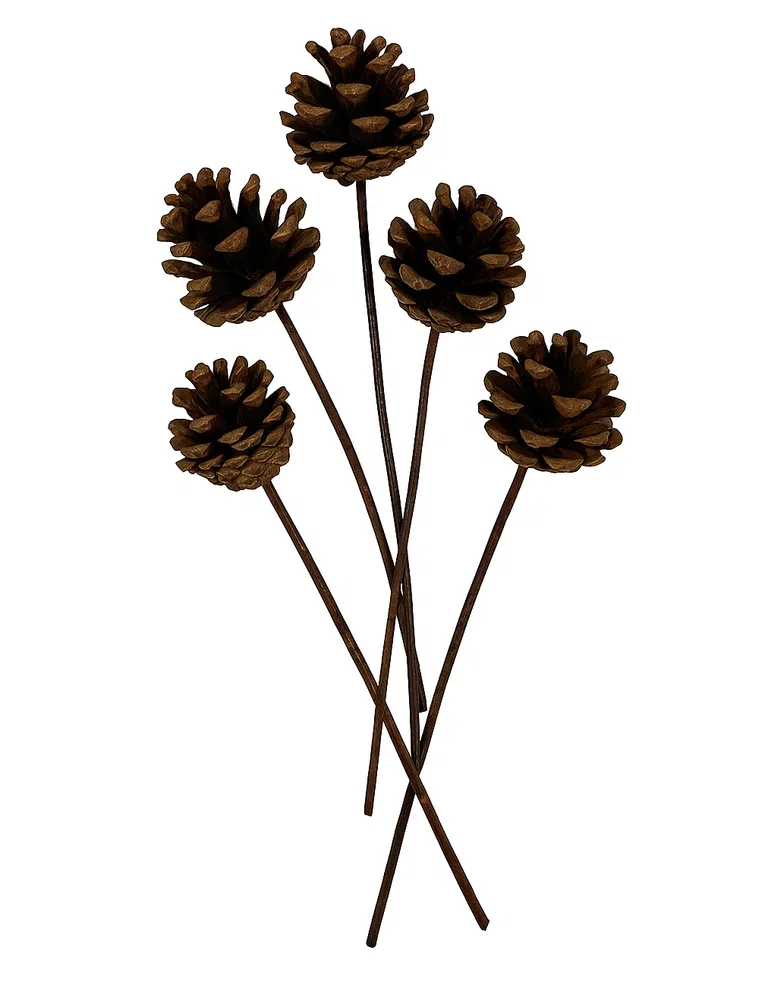 Kotte på trästjälk