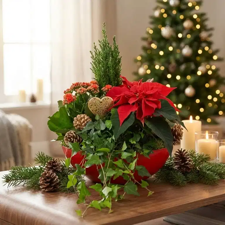 3 for 2 on Christmas groups