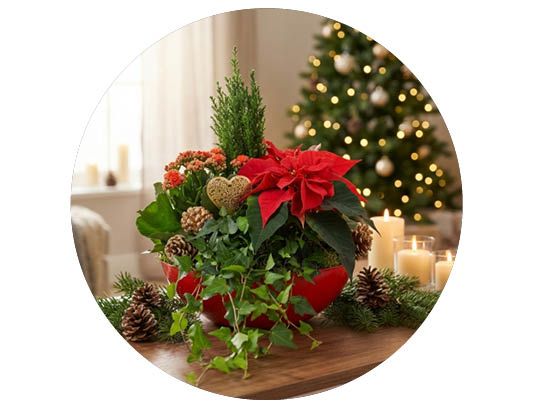 Image of Julgrupper 3 för 2