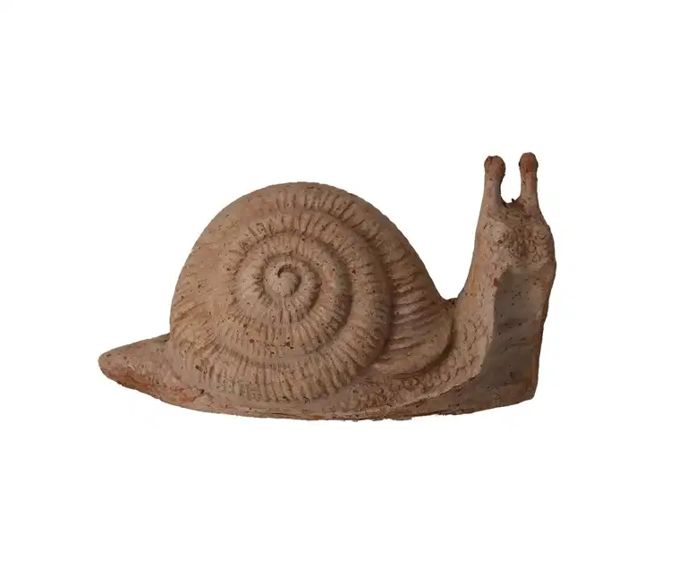 Snail Lumaca
