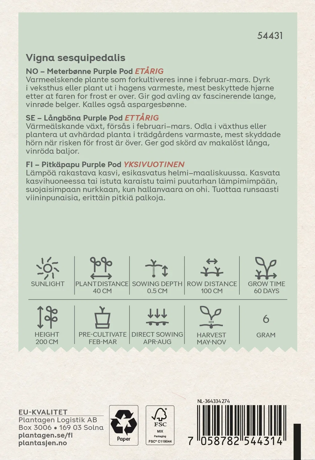 Long Yard Beans 'Purple Pod'