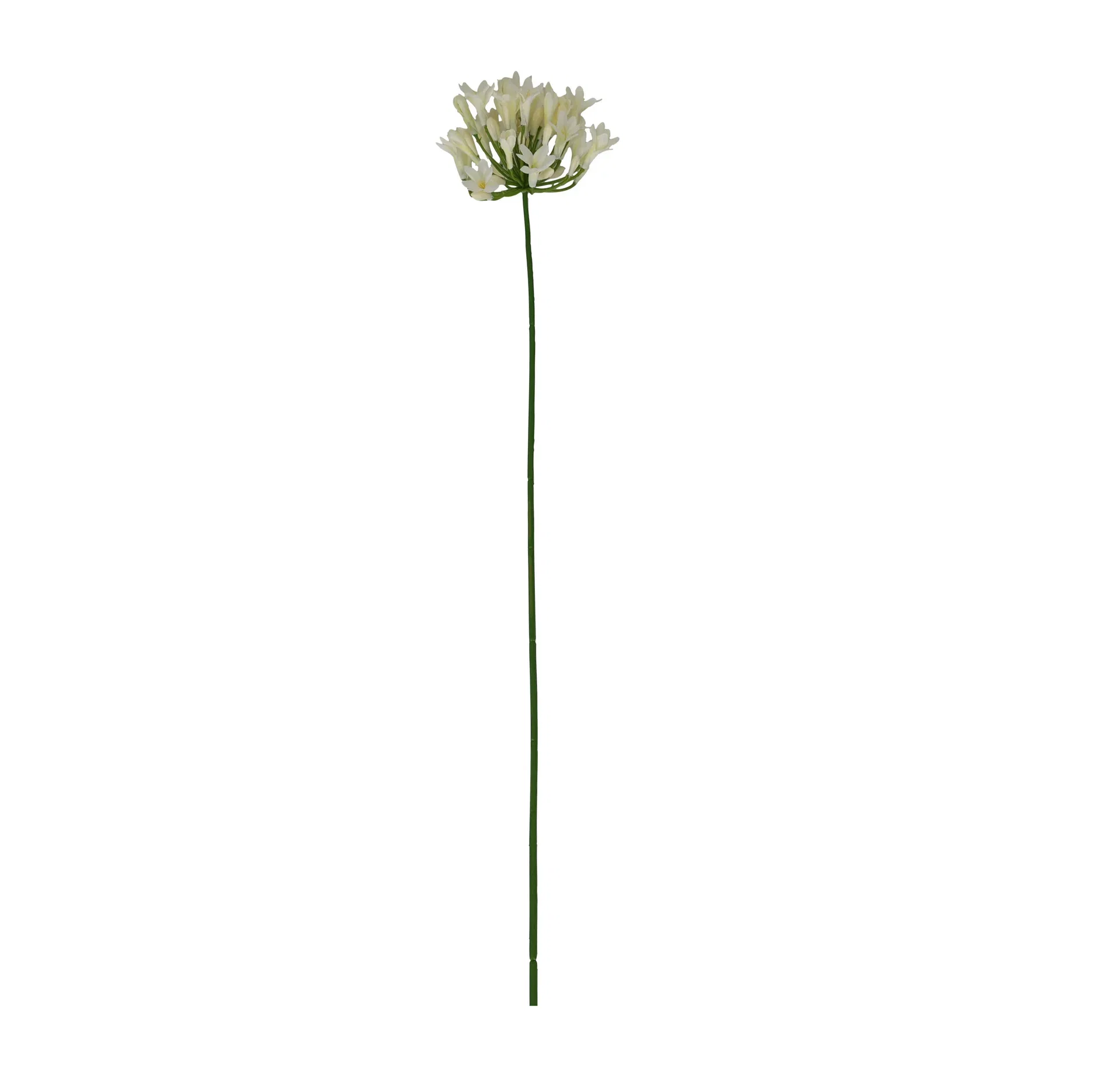 Allium klippt artificiell