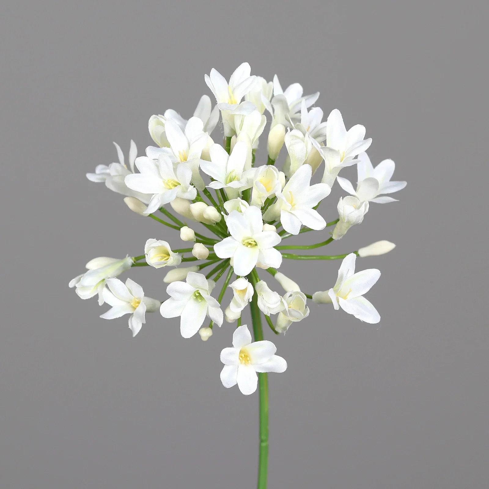 Allium klippt artificiell