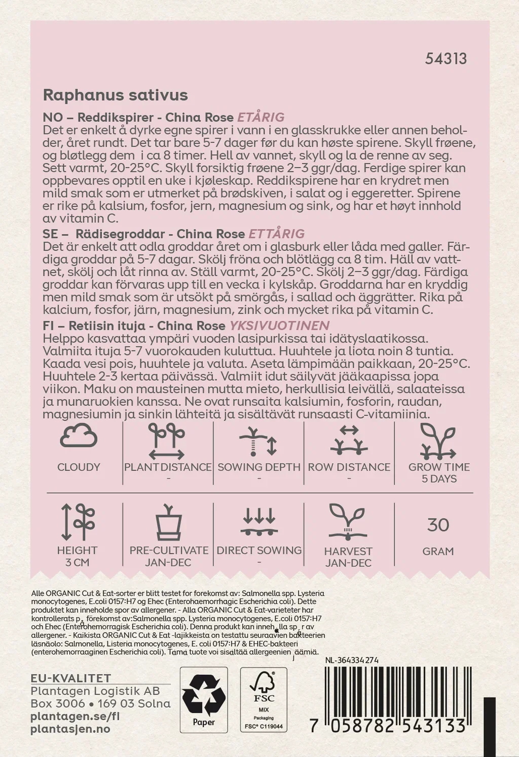 Groddar Rädisa 'China Rose'