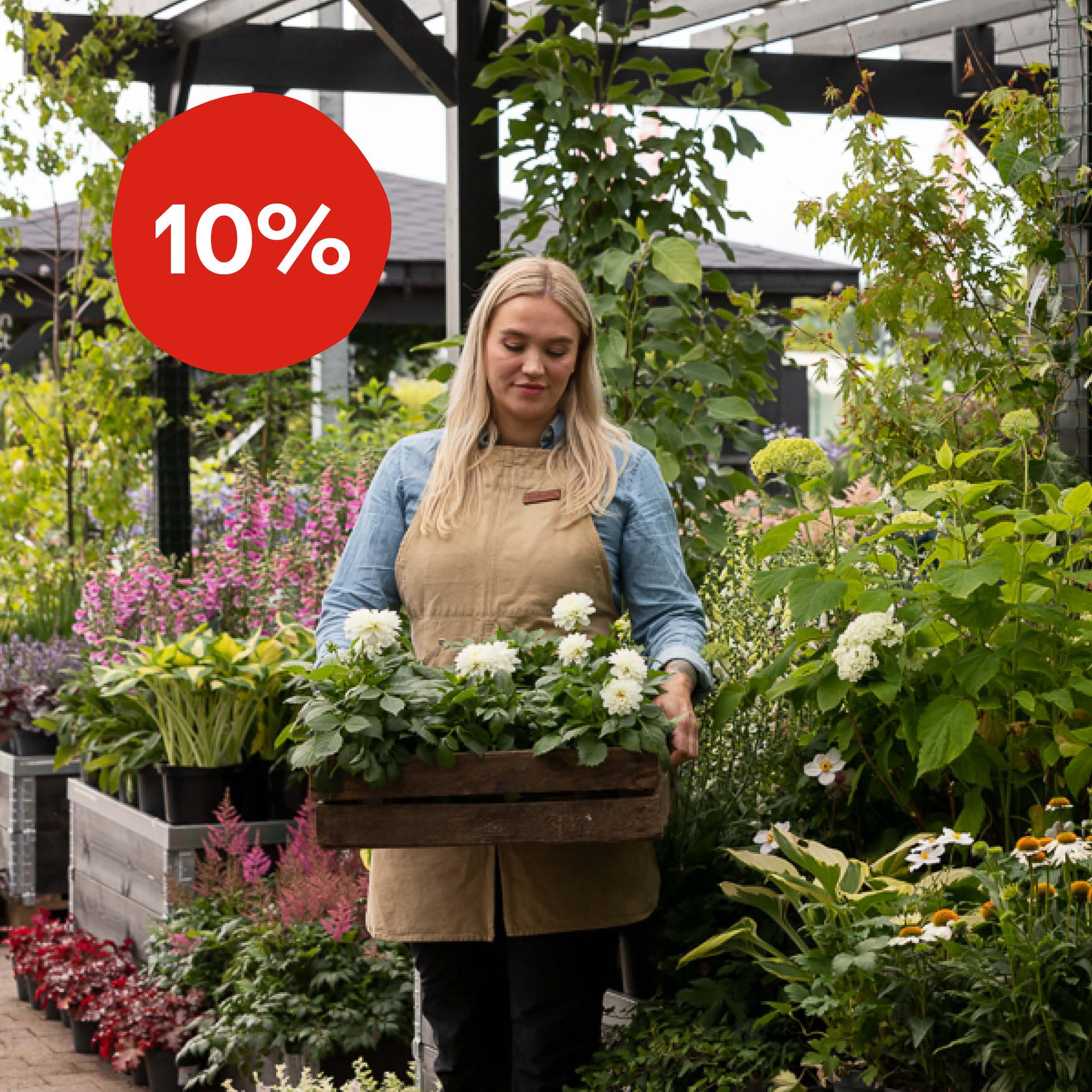 Detta är en bildillustration av Bli företagskund hos oss!