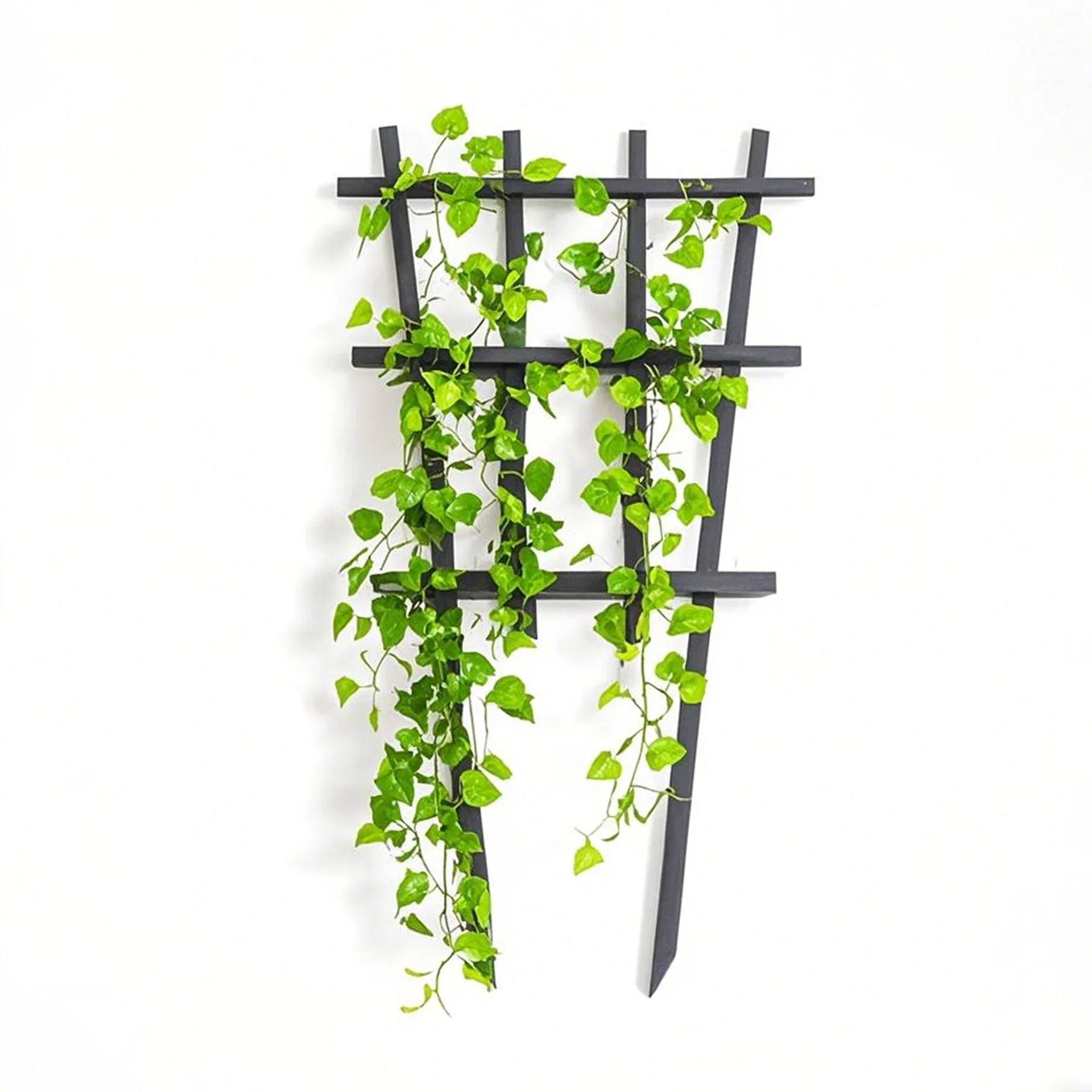 Bamboo plant support black