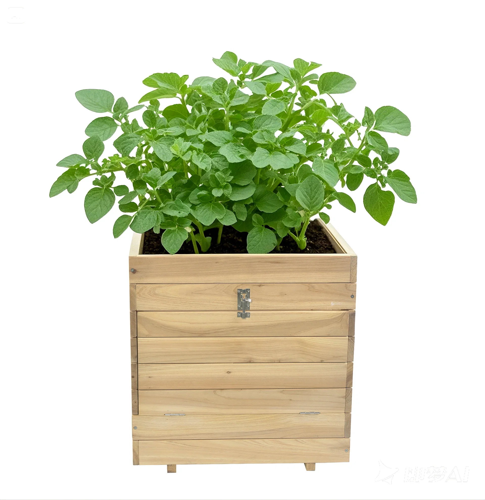 Potato pot in wood