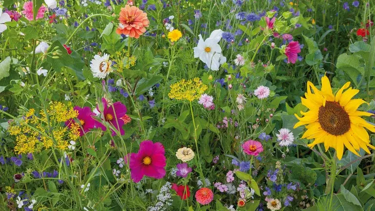 How the garden survives the holidays