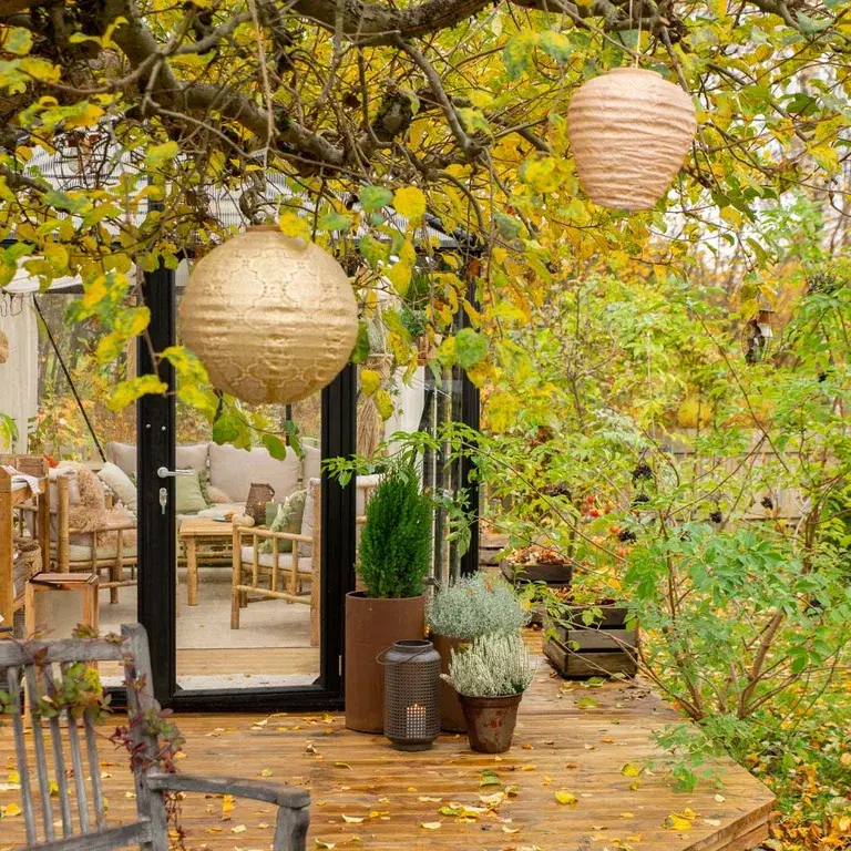 Trädgårdsbesök: Höst i Tanjas jordnära trädgård