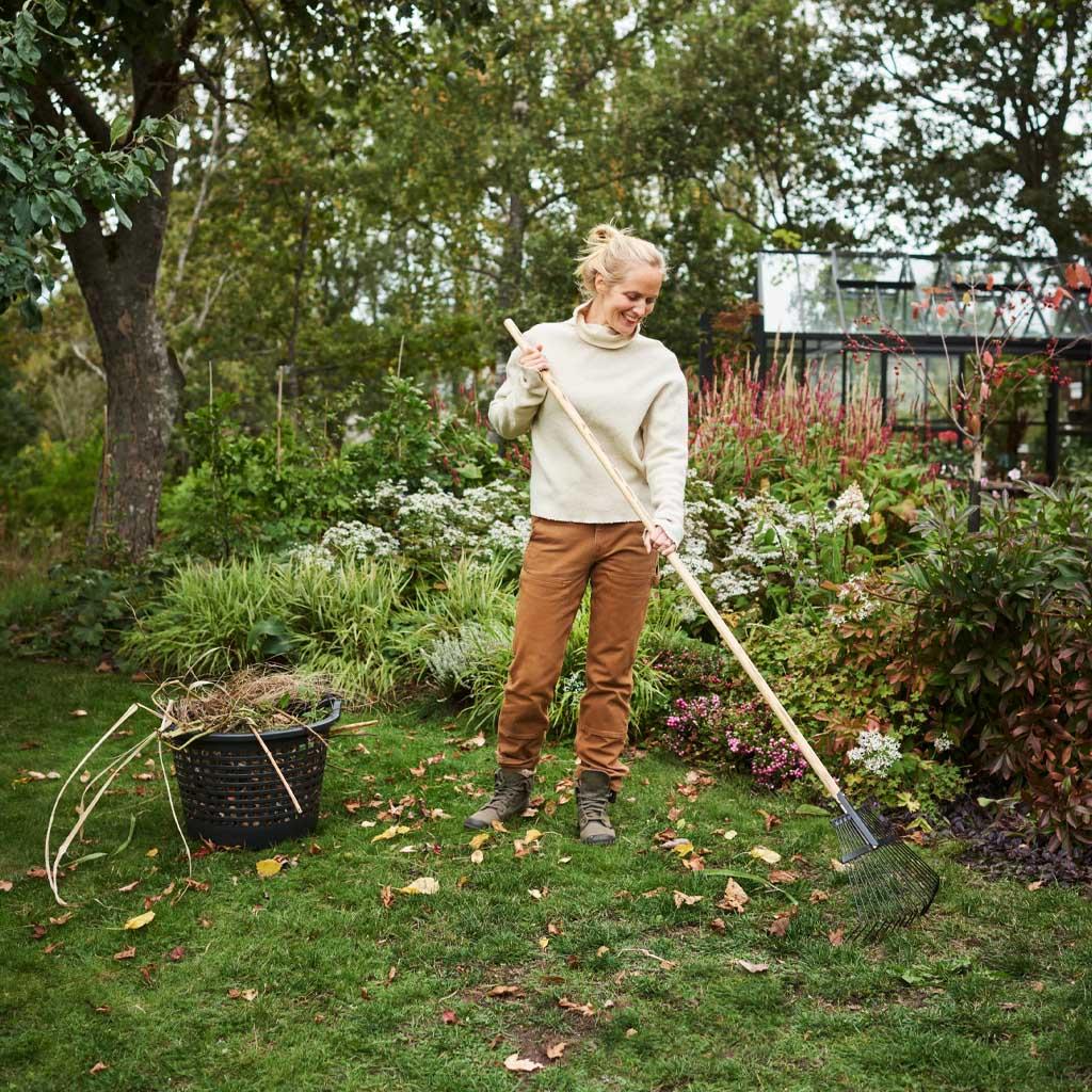 Trädgårdskalender för hösten – det här kan du göra i trädgården nu