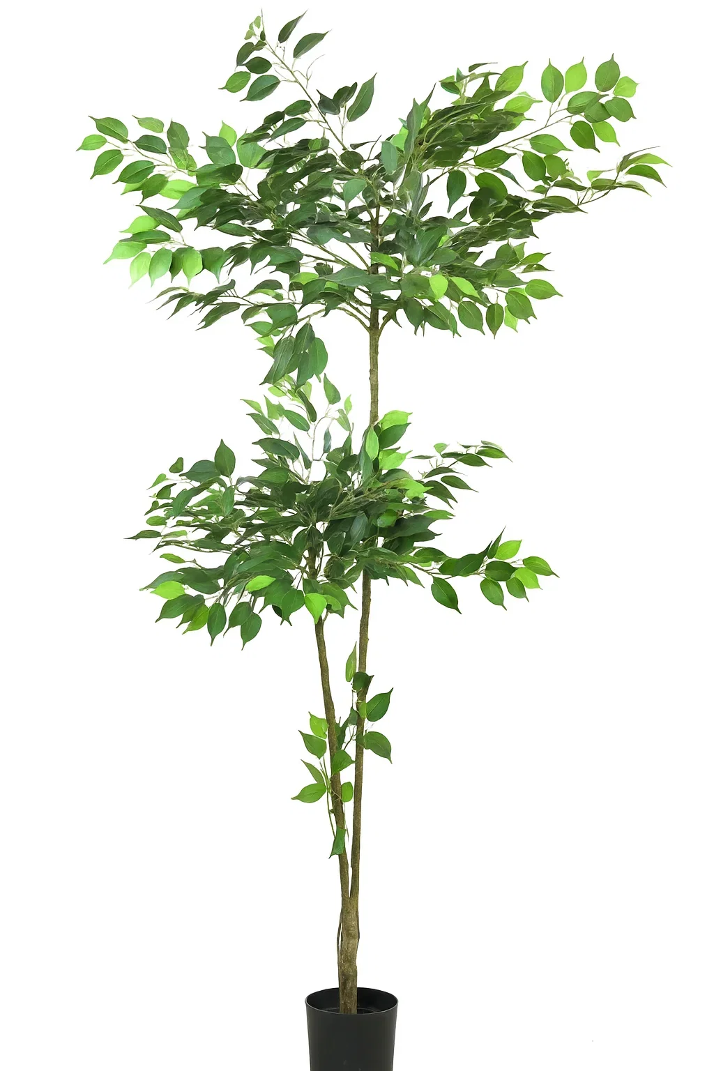 Ficus potted artificial