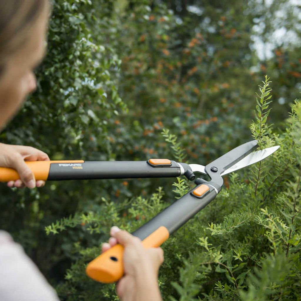 Image of Beskärning 30%