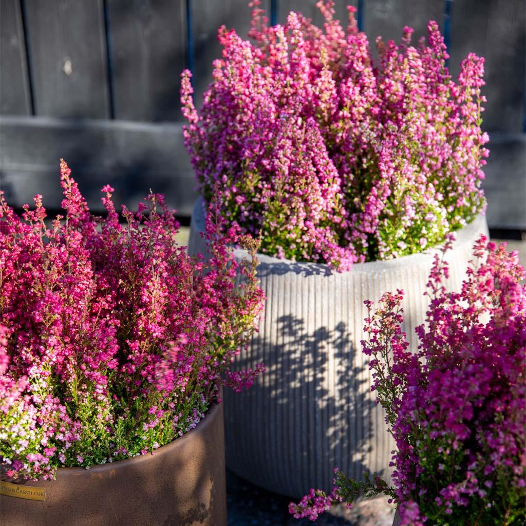 This is an image illustration of hero image left align