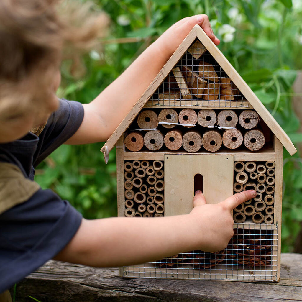 Bygg eget insektshotell – i sju enkla steg