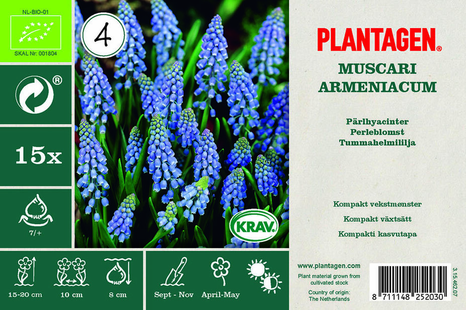 Pärlhyacint mix EKO Blå | Plantagen